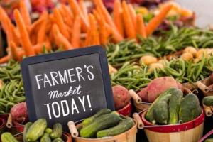[Copy of] Farmer Application