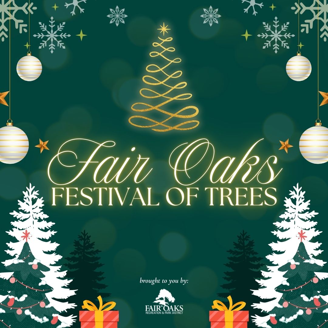 Festival of Trees 2026