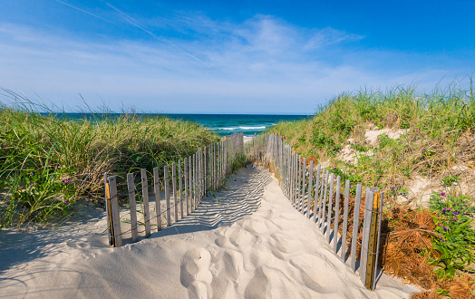 Escape to the Cape, Creative Wellness Retreat