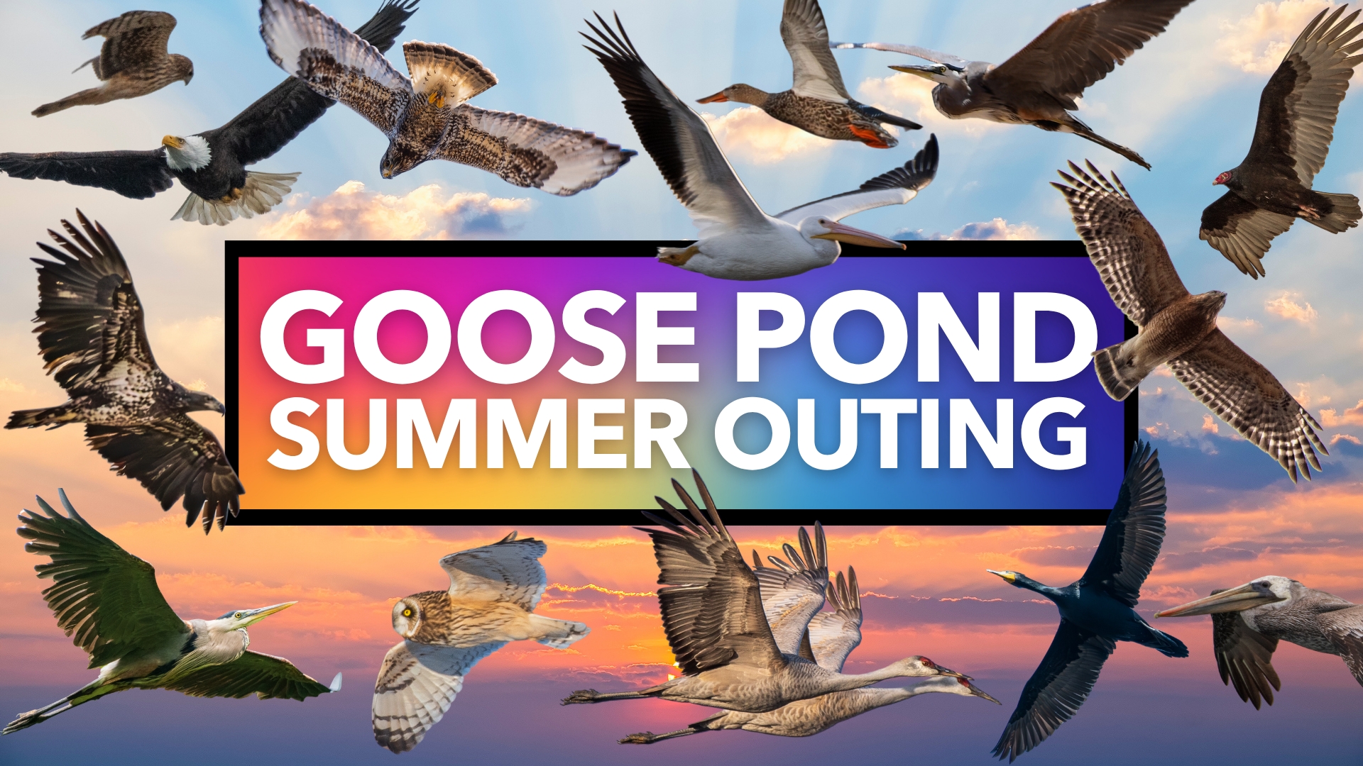 Rainbow Birders Goose Pond Summer Outing cover picture