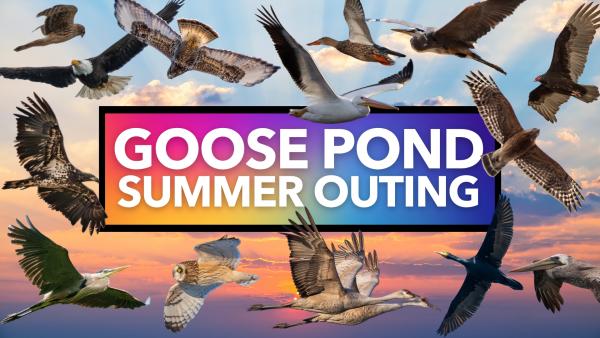 Rainbow Birders Goose Pond Summer Outing
