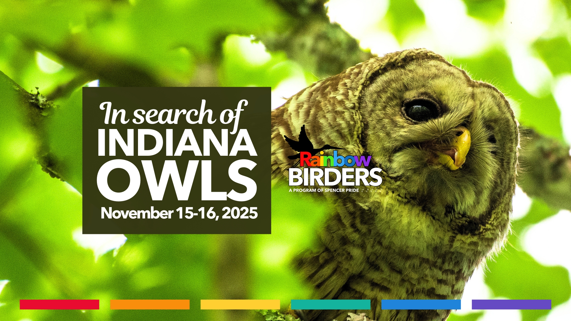 In Search of Indiana Owls (A Rainbow Birders "Big Time Birding" Experience)