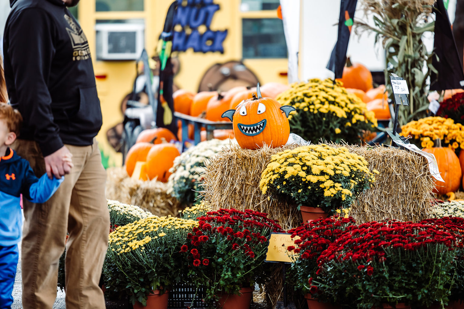 Downtown Billings HarvestFest cover image