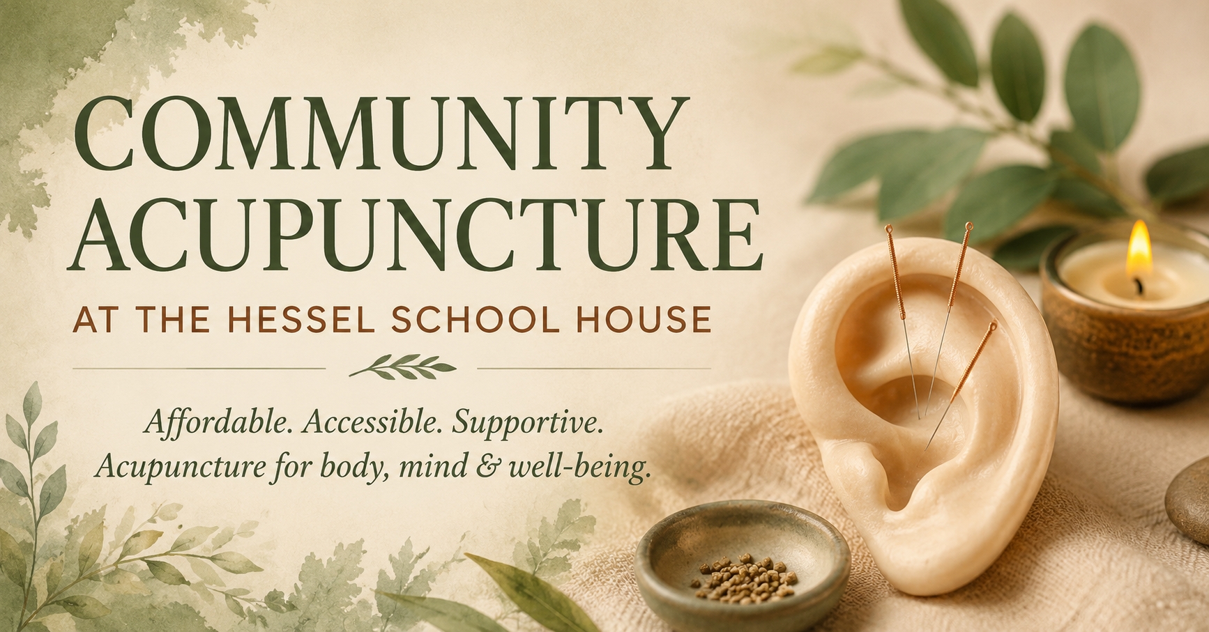 Community Accupuncture cover picture