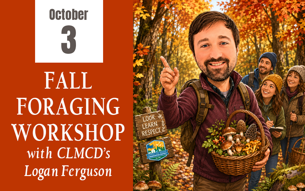 Fall Foraging Workshop with Logan Ferguson cover picture
