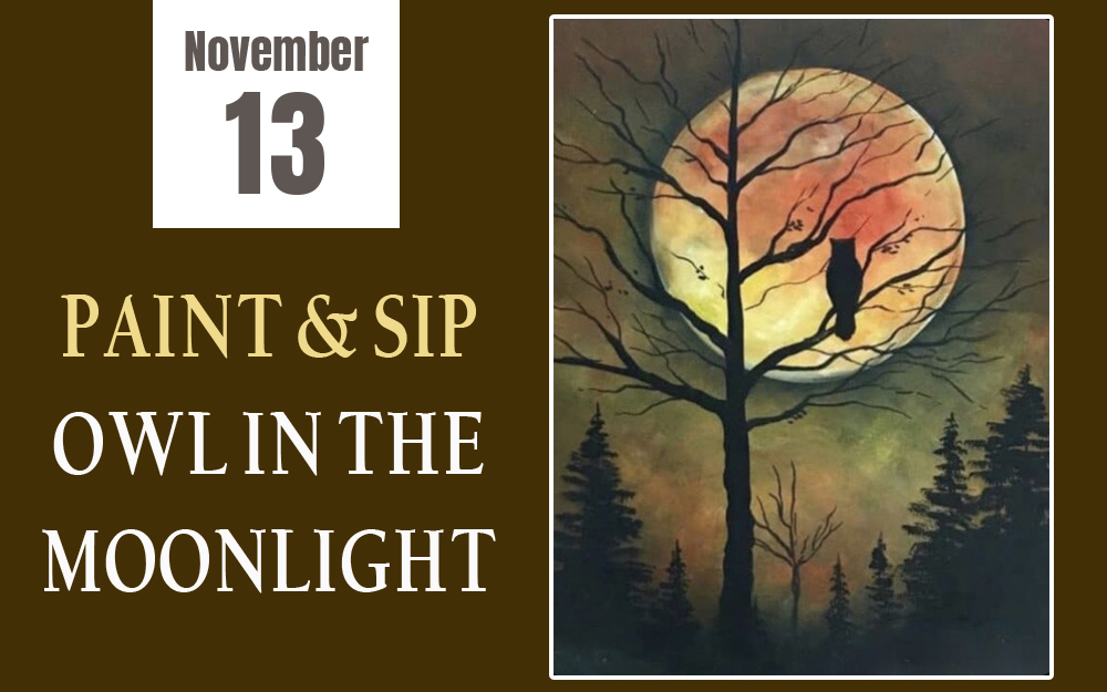 PAINT & SIP Owl in the Moonlight cover picture