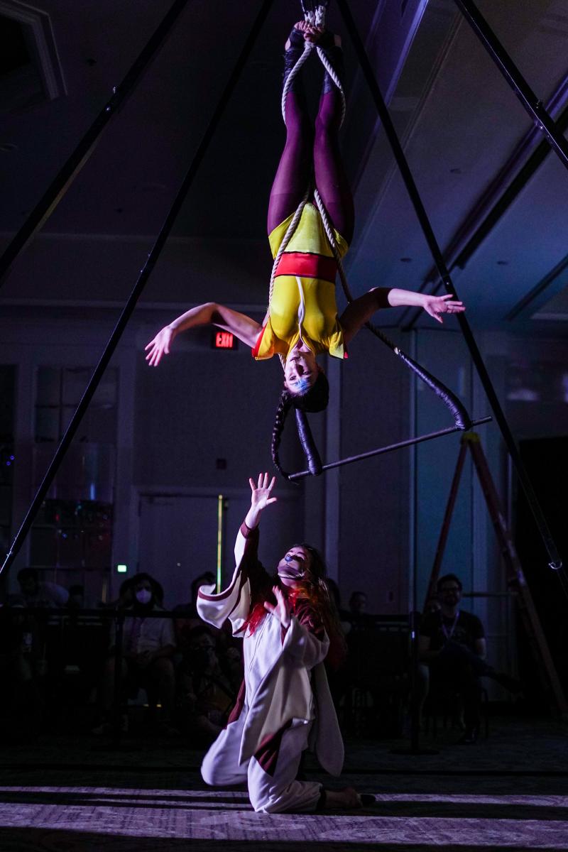 Circus Acts