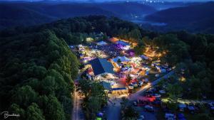 Mountain Music Festival Vendor Application