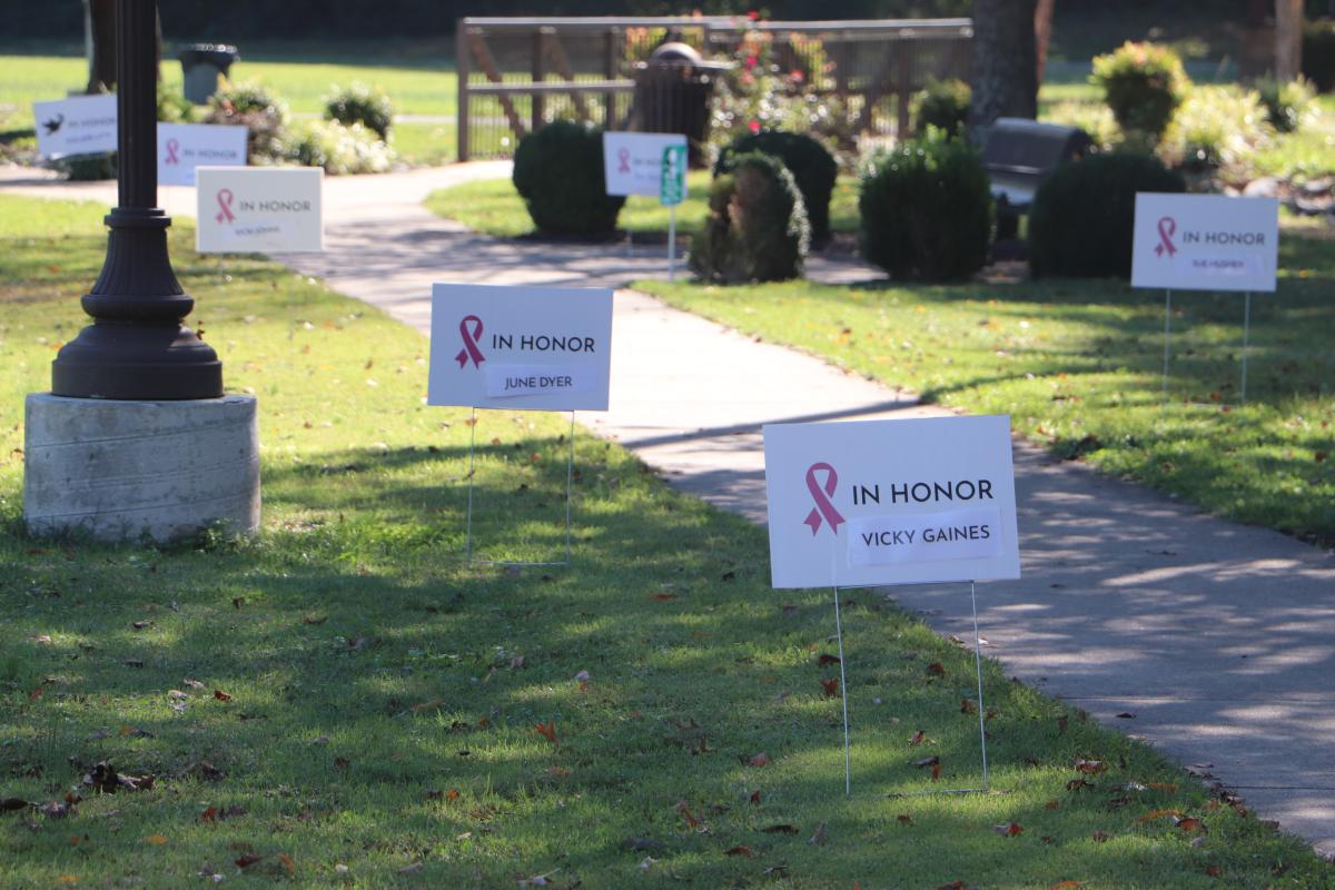 Pink Walk In Honor Sign cover picture