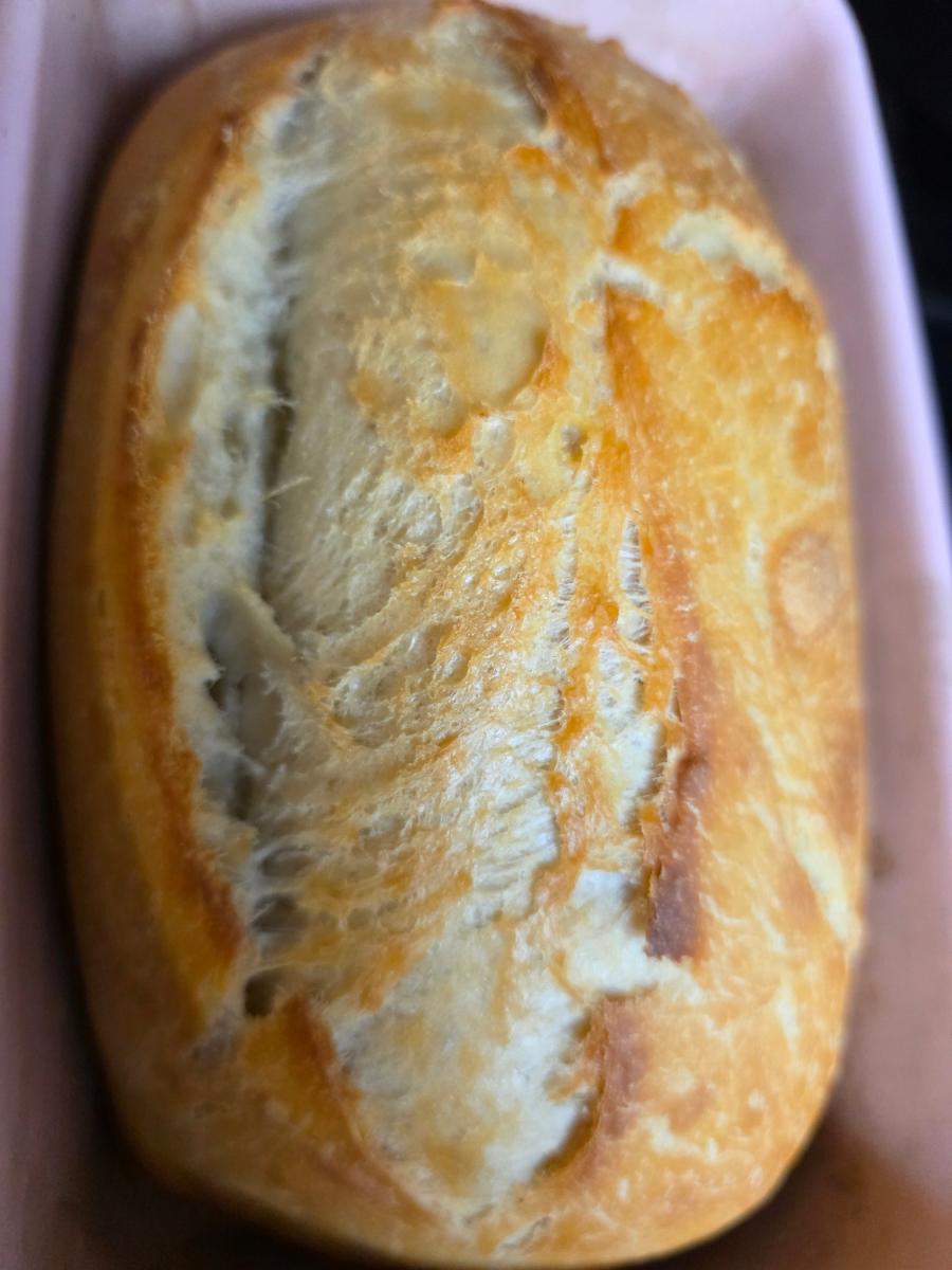 Sourdough 101: From Starter to Loaf