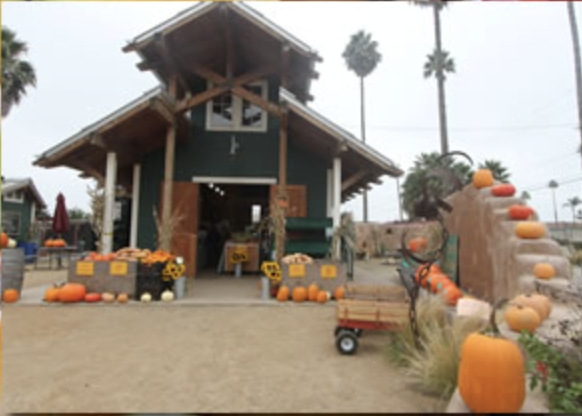 Shop Local Holiday Market