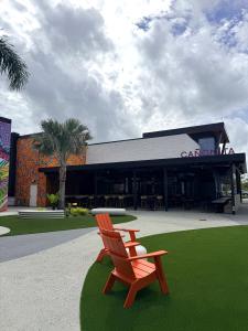 Canonita Opening Courtyard Market, Nov 6