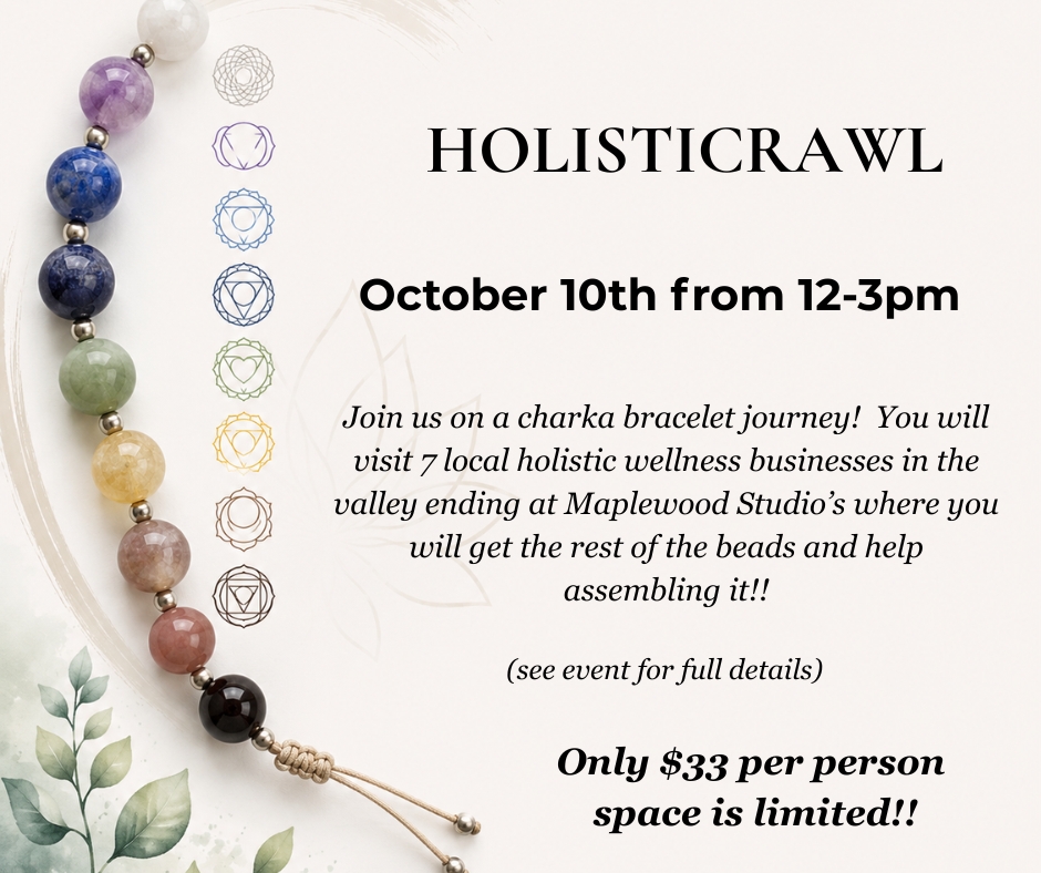 Holisticrawl cover image