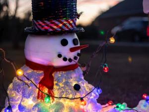 Snowmen on Main 2026 Participant Application