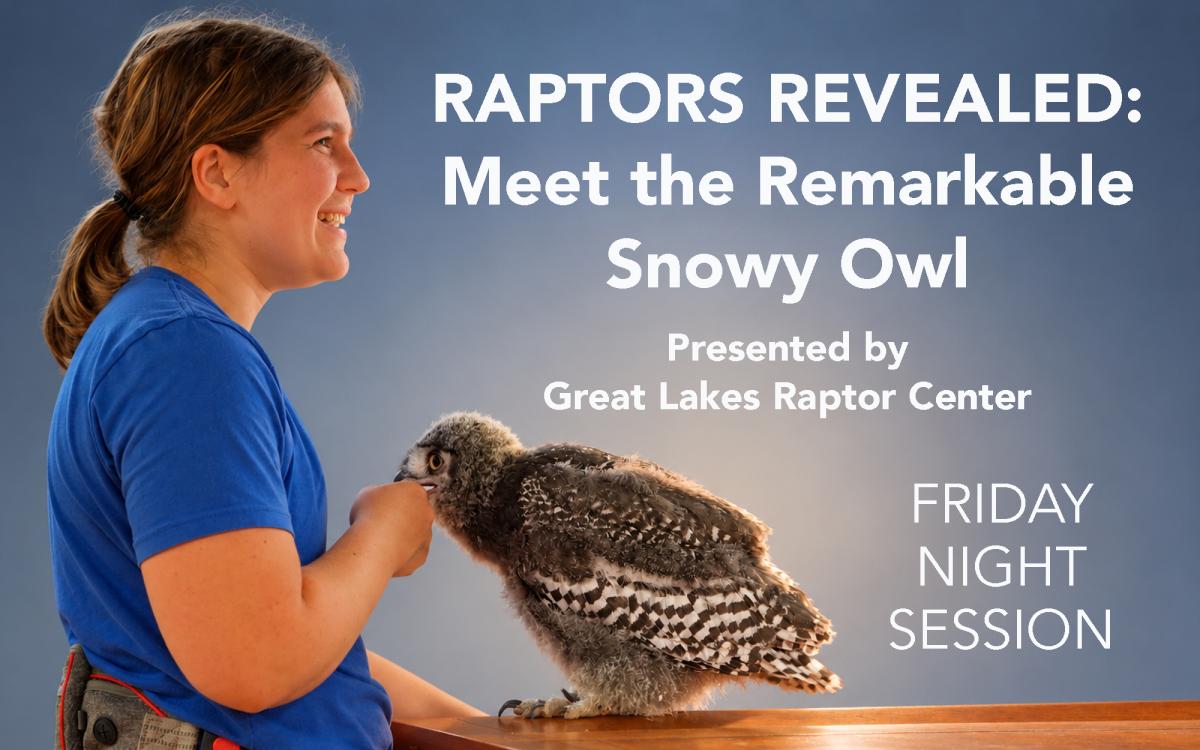 RAPTORS REVEALED: Meet the Remarkable Snowy Owl cover picture