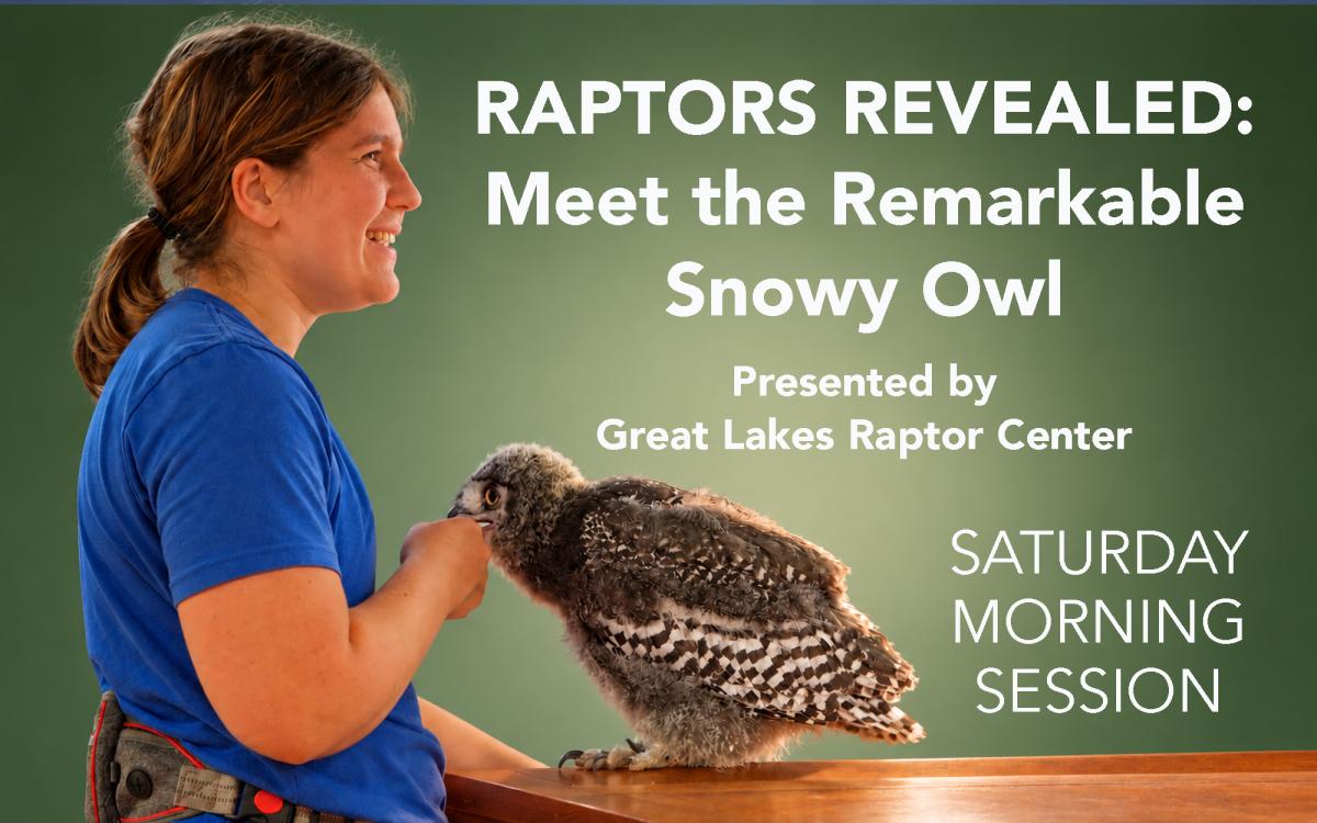 RAPTORS REVEALED: Meet the Remarkable Snowy Owl (SATURDAY) cover picture