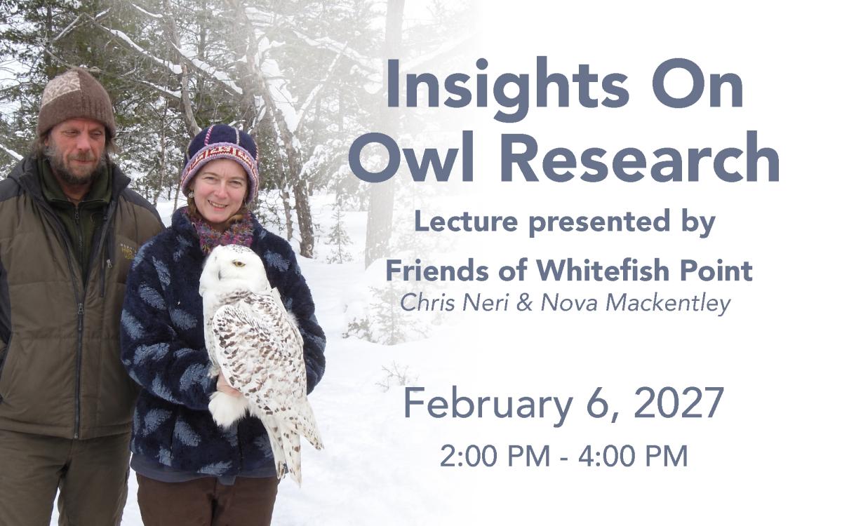 Insights on Owl Research cover picture