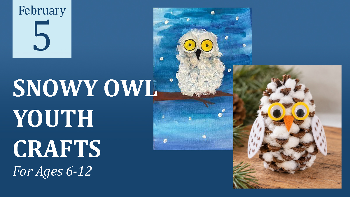 Snowy Owl Youth Crafts (ages 6-12) cover picture