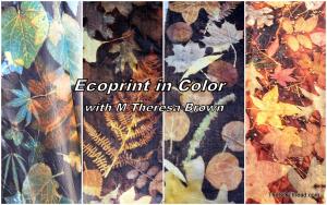 Ecoprint on Silk and Wool in Color, with M Theresa Brown, Saturday 9am-4pm cover picture