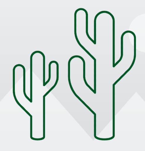 Cacti Web Release Party cover image