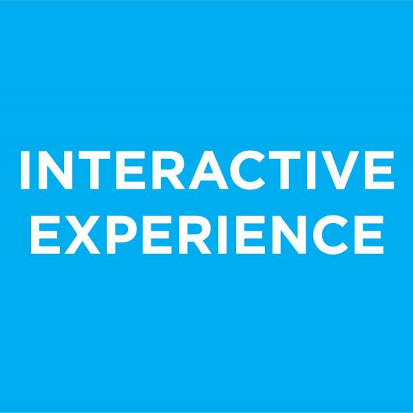 Interactive Experiences