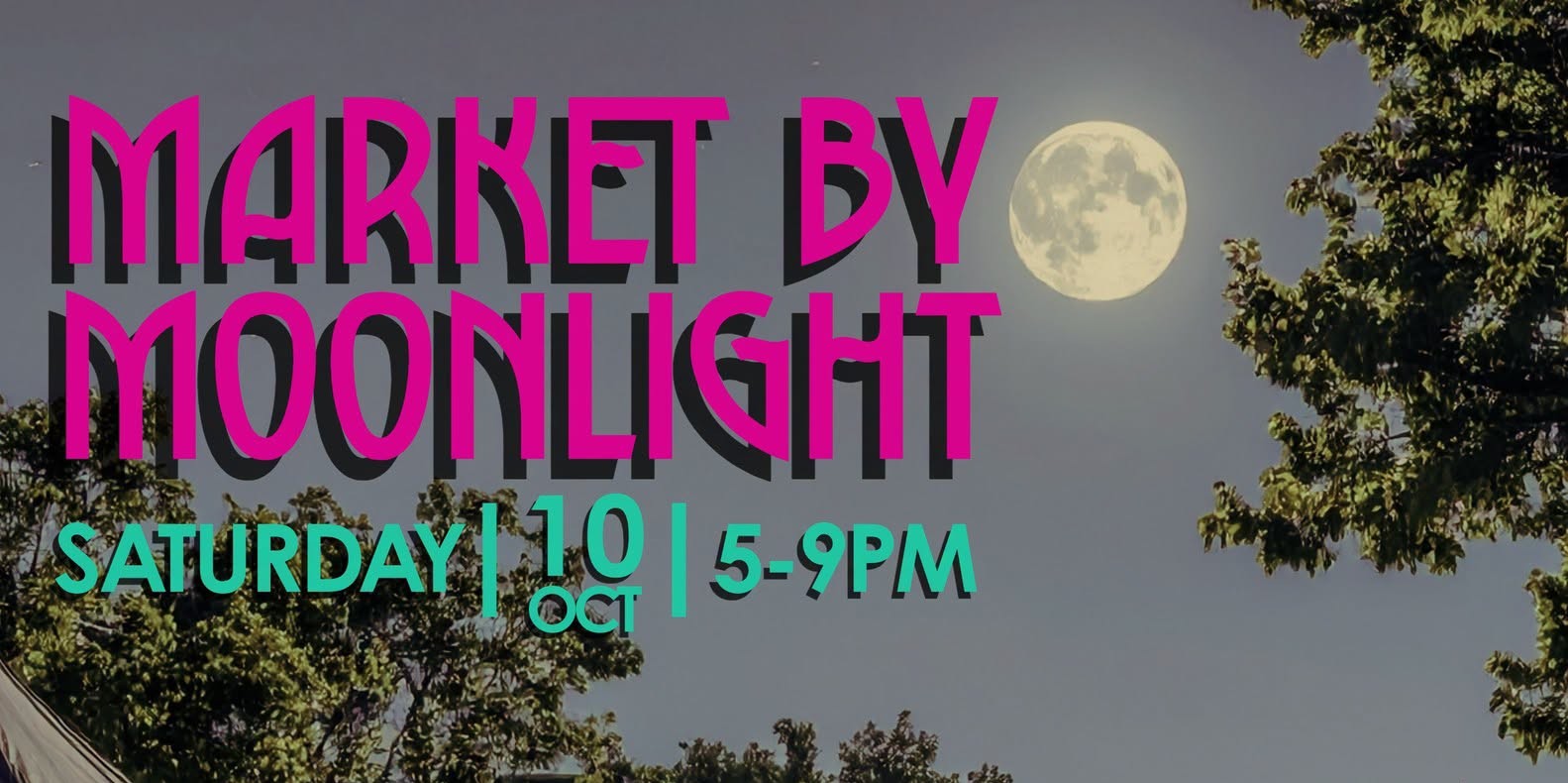 Fall Market by Moonlight