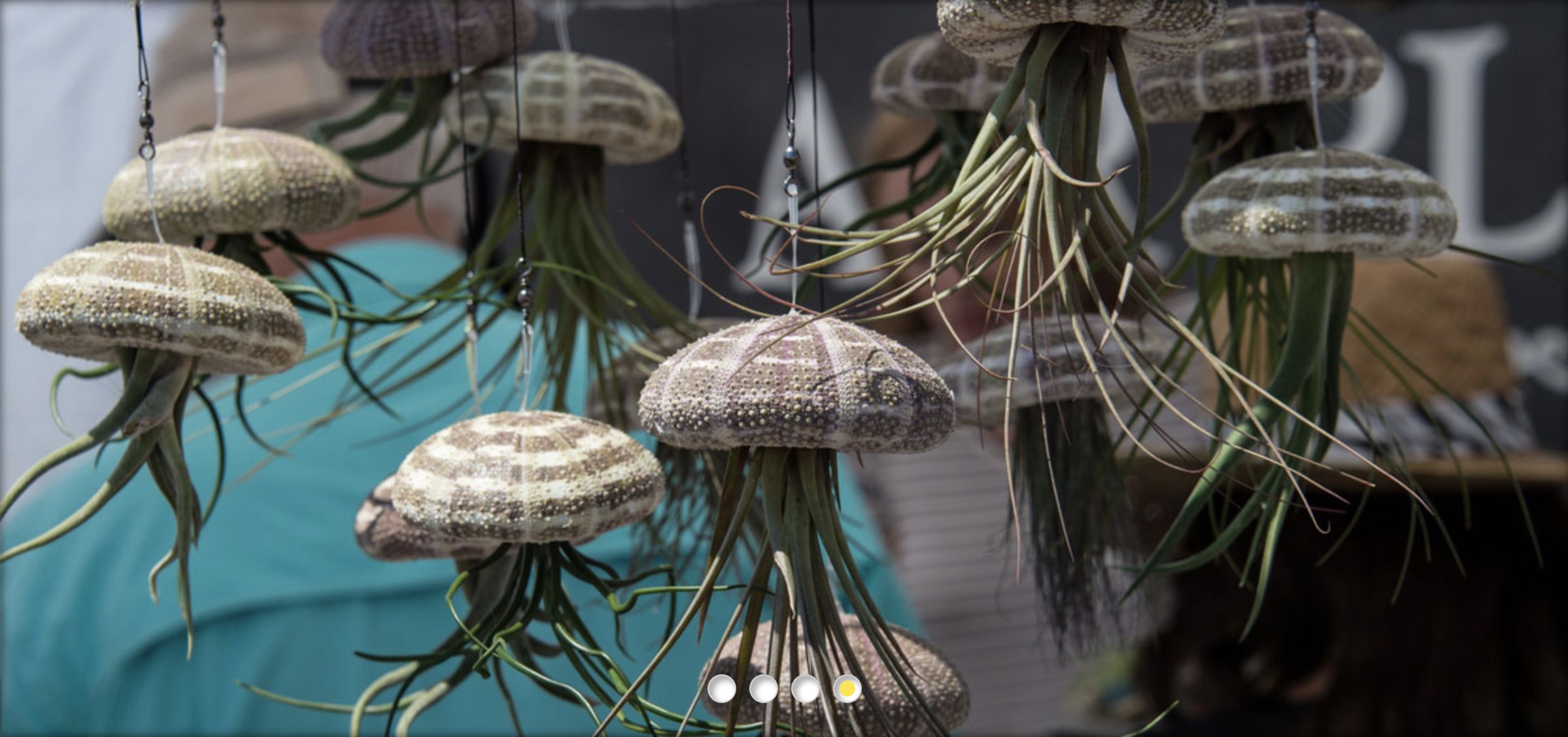 Dunwoody Art Festival
