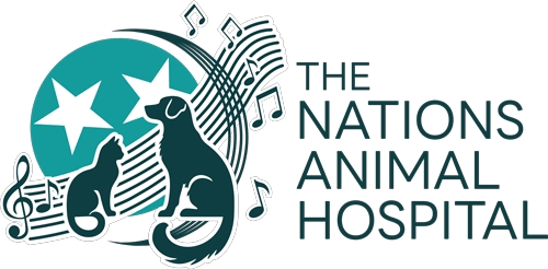 Nations Animal Hospital