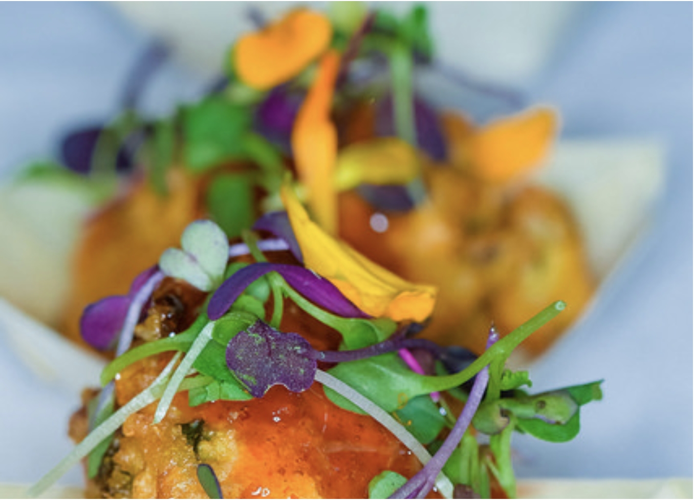 DC's Taste of the Nation
