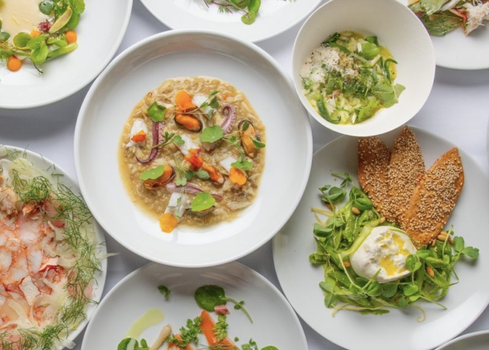 Night out for No Kid Hungry