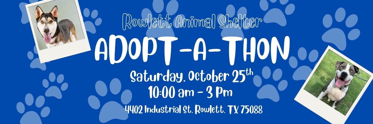 Adopt-A-Thon
