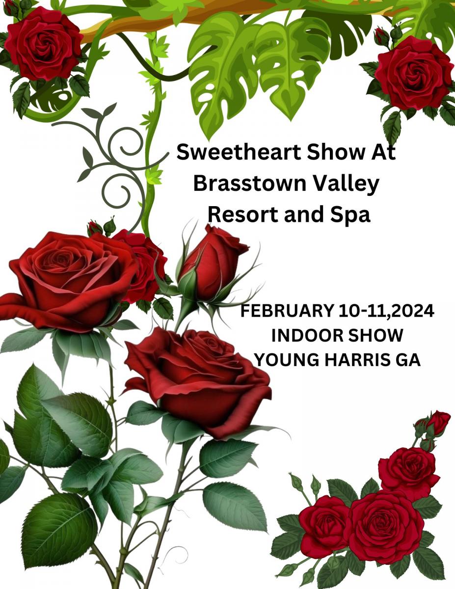 Sweetheart Show At Brasstown Valley Resort and Spa - Copy cover image