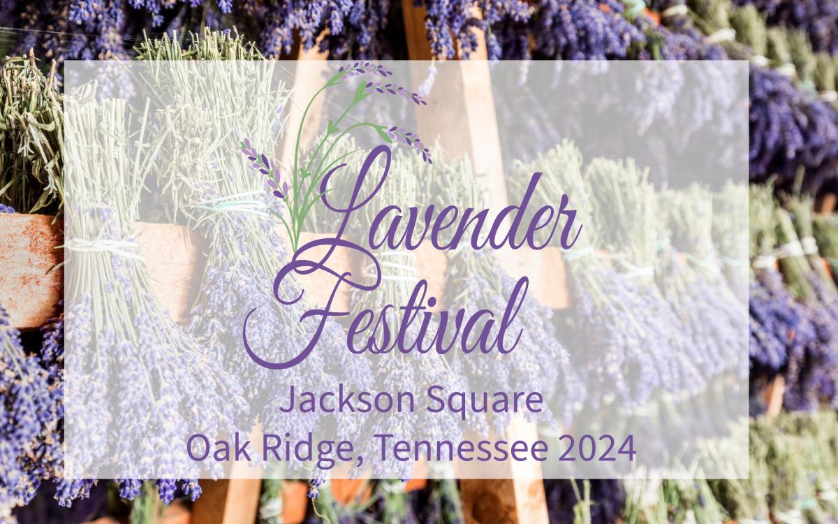 Jackson Square Lavender Festival 2024 cover image