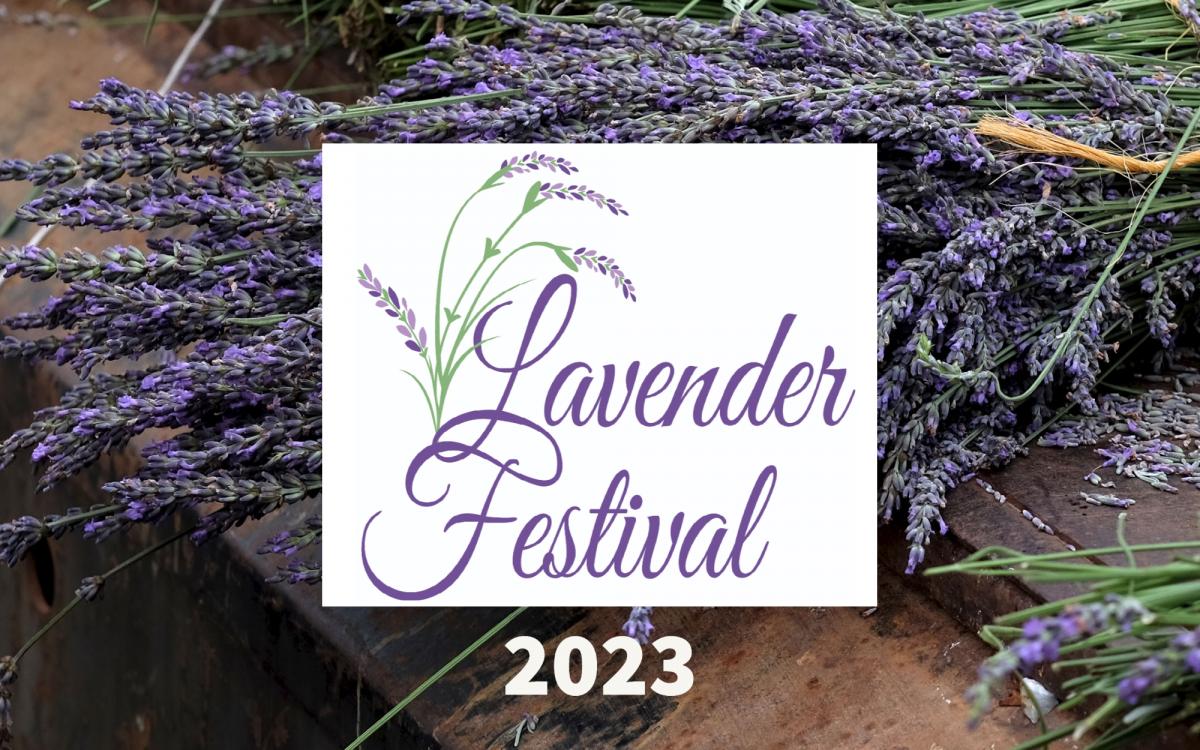 Jackson Square Lavender Festival 2023 cover image