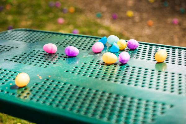 Egg Hider Egg Hider