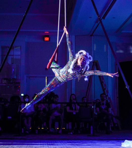 Performer Application Performer Application