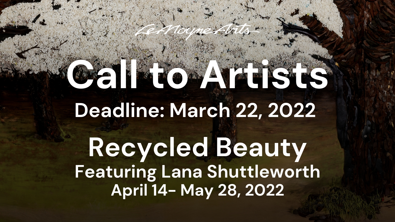 Recycled Beauty, Featuring Lana Shuttleworth cover image