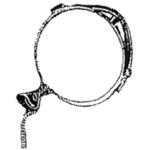 Monocacy Monocle
