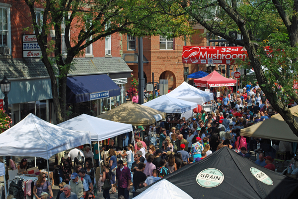 Promotional Application 38th Mushroom Festival