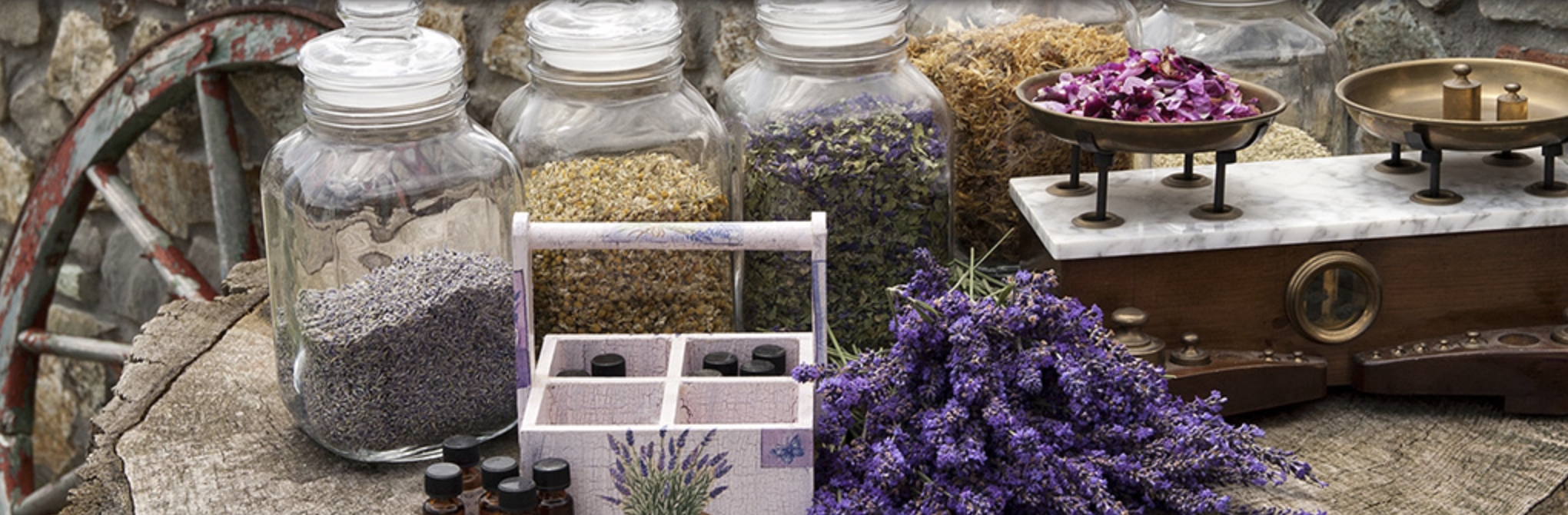 The Roswell Lavender Festival