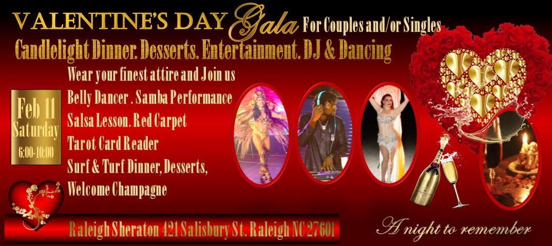 Valentine's Day Gala - Not Just Dinner! cover image