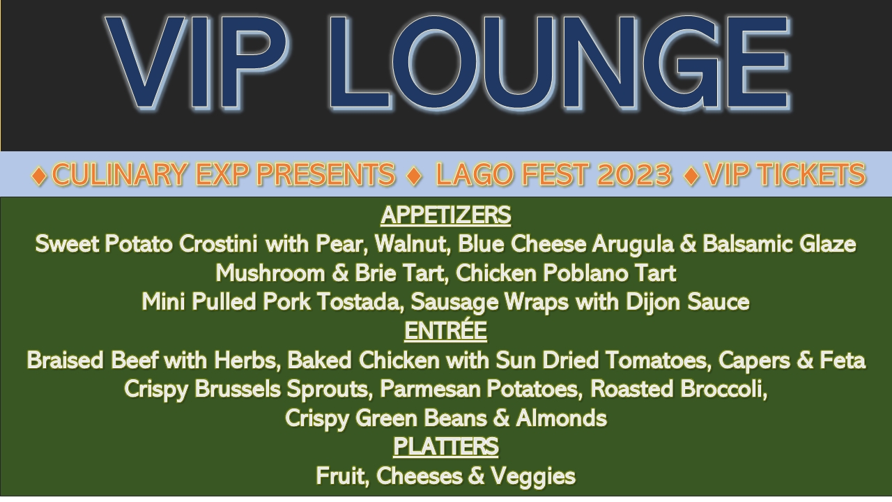 VIP Lounge - Lago Fest 2023 cover picture