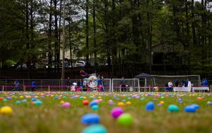 Eggs-tra Special Needs Easter Egg Hunt cover picture