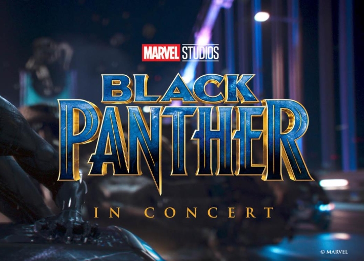 Black Panther in Concert - HSO Symphony and Movie cover image