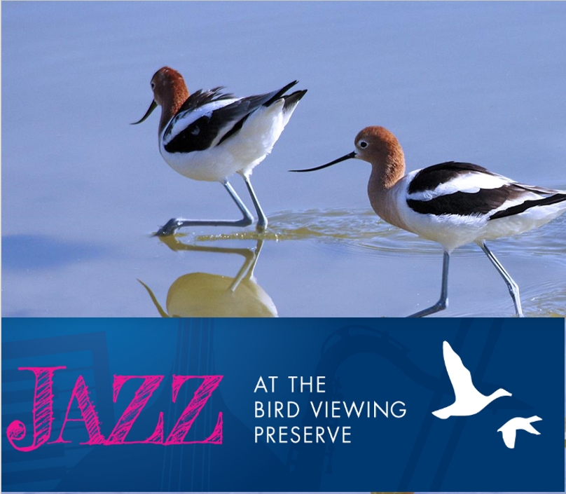 Sunday Jazz at the Bird Viewing Preserve