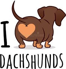 Dachshund Con cover image