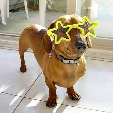 Black Diamond Sponsor