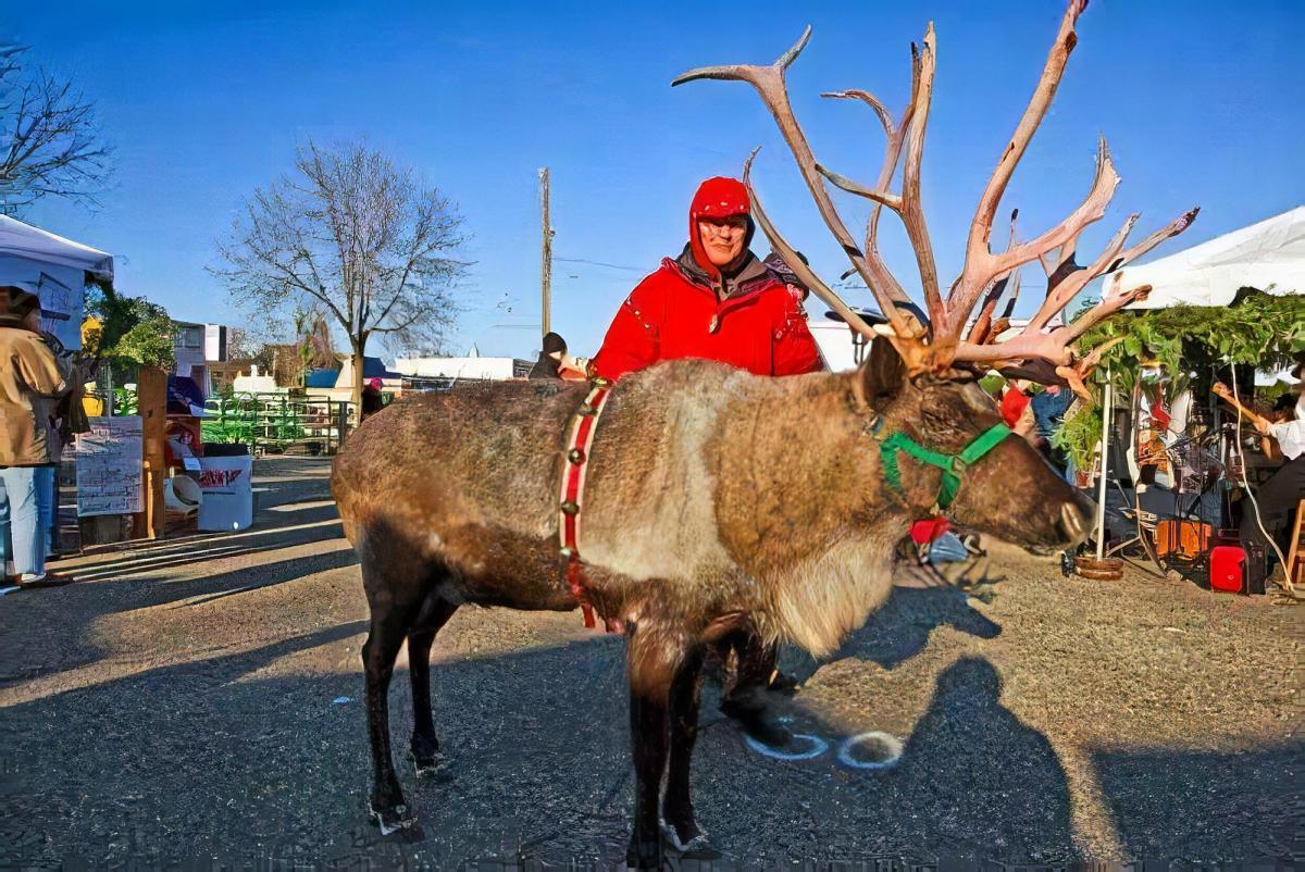 2024 Excelsior Christkindlsmarkt