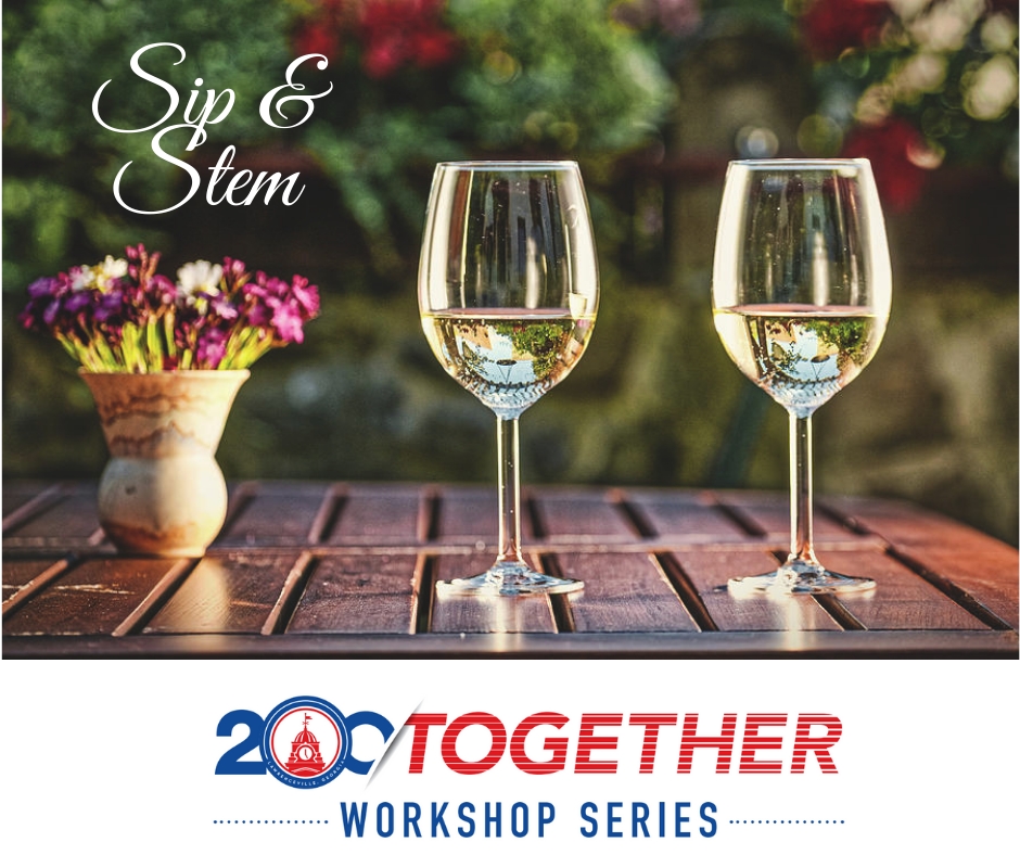 Sip 'n' Stem  Workshops