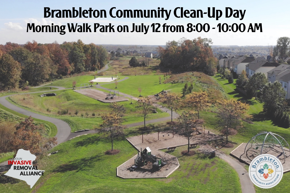 Brambleton Invasive Plant Removal Community Event